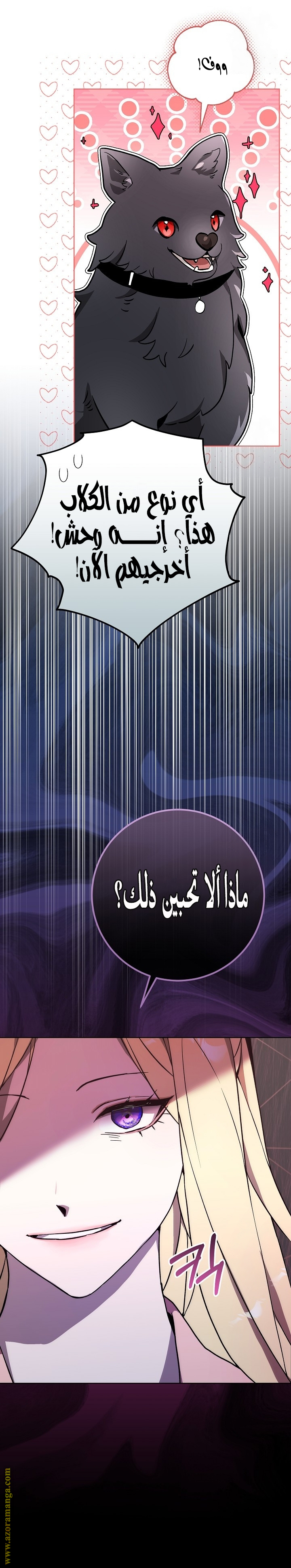 الصفحة 14