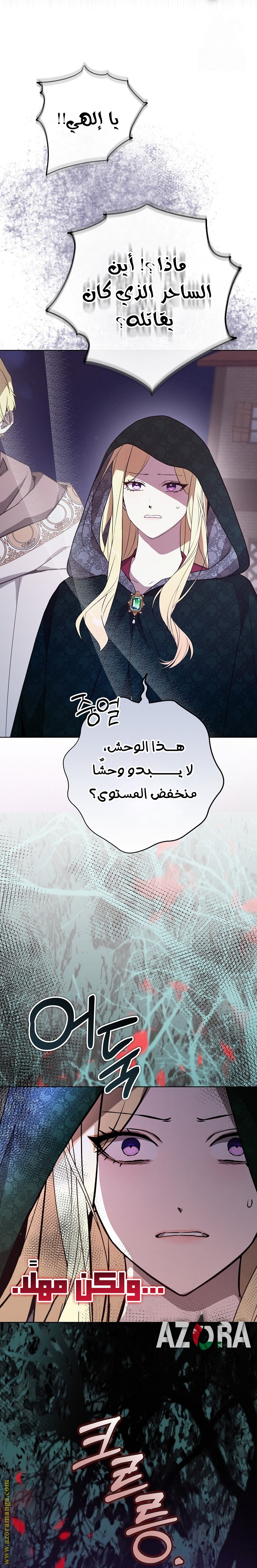الصفحة 16