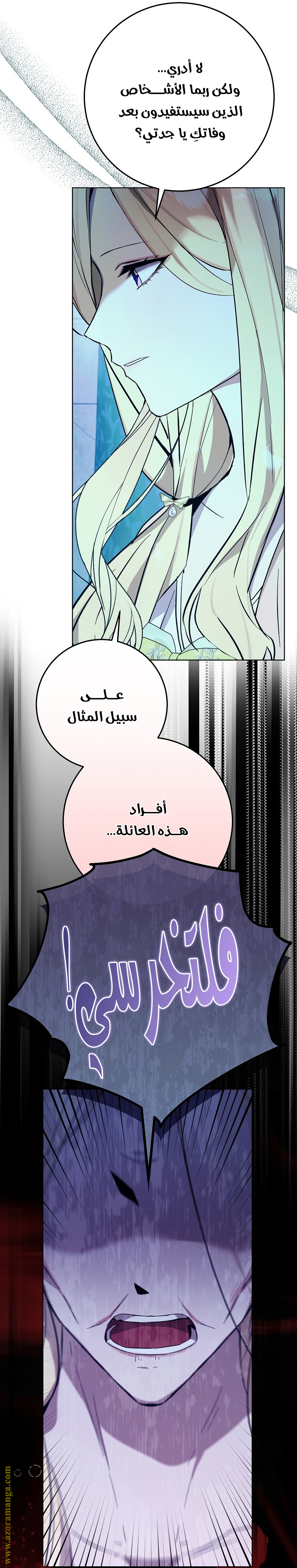 الصفحة 17