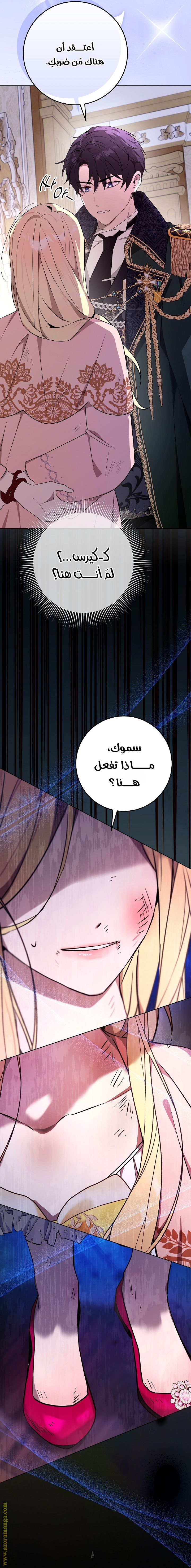 الصفحة 25