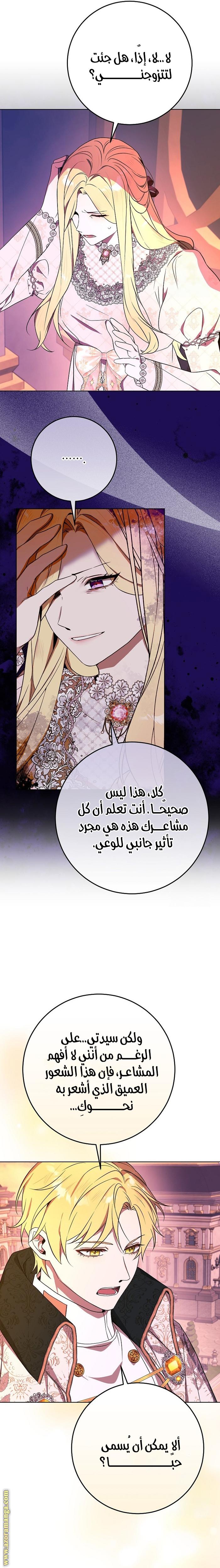 الصفحة 17