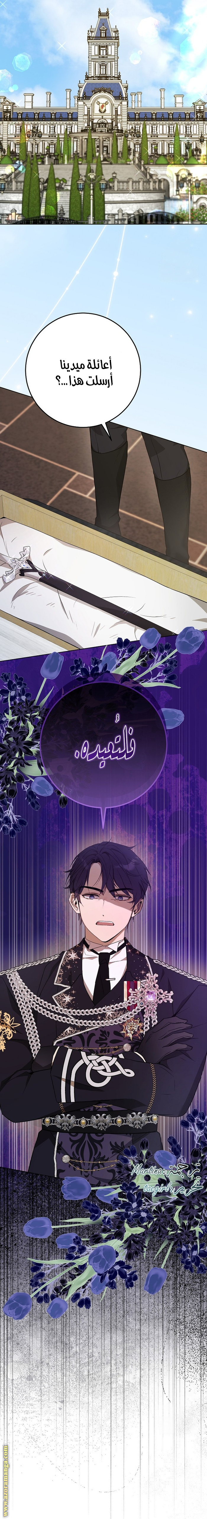 الصفحة 24