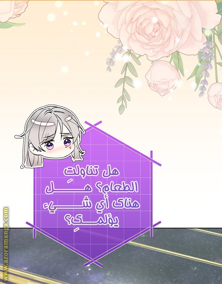 الصفحة 49