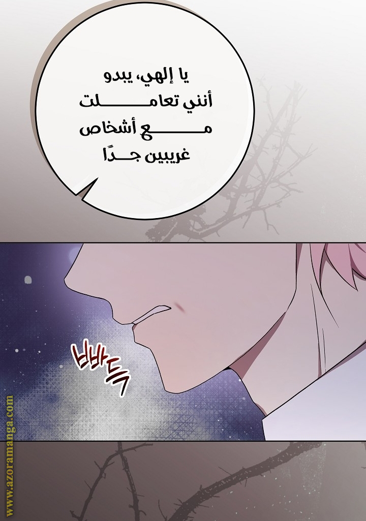 الصفحة 34