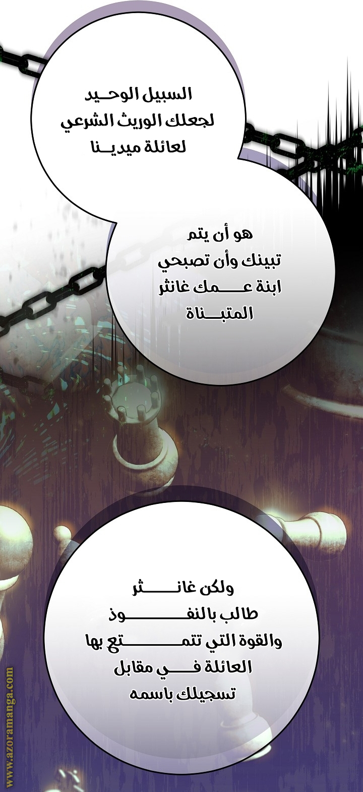 الصفحة 17