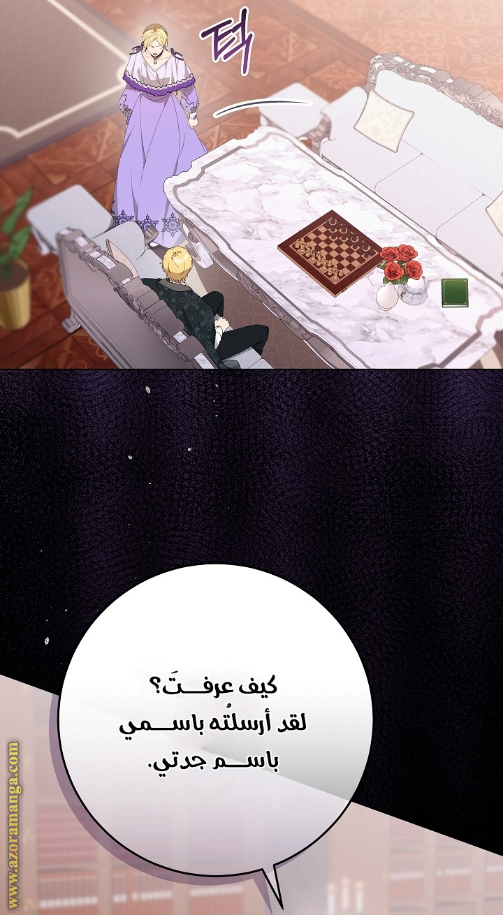 الصفحة 47
