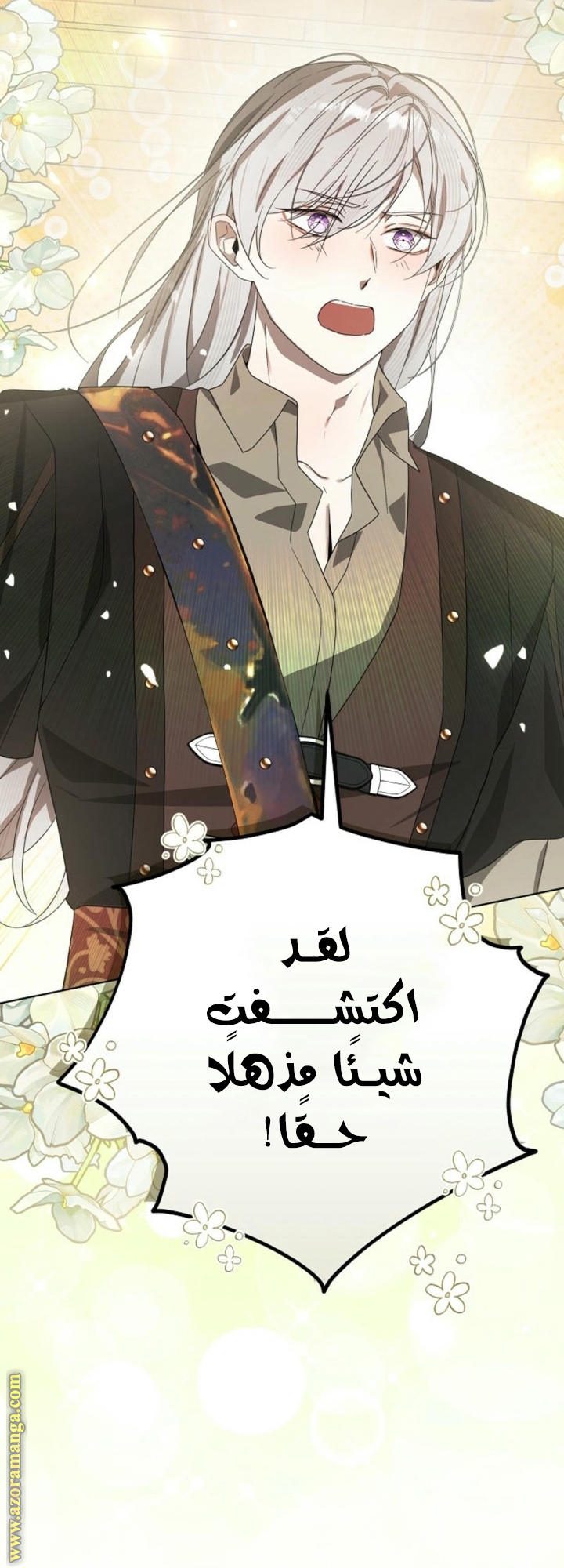 الصفحة 13