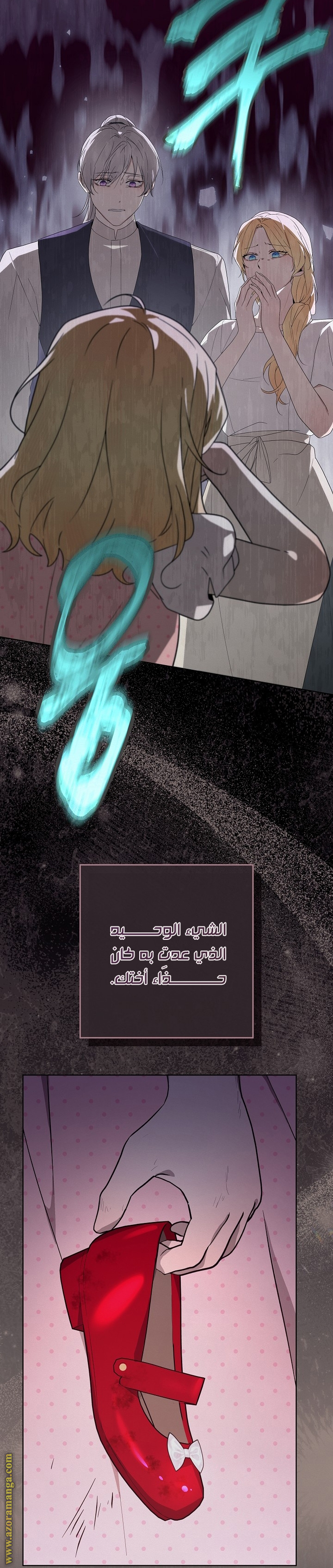 الصفحة 17