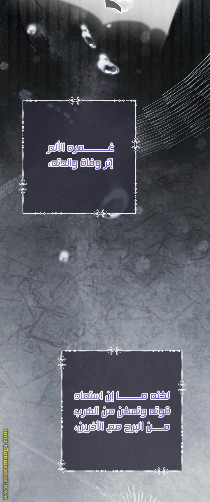 الصفحة 12