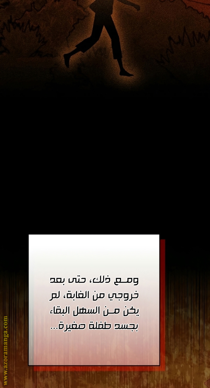 الصفحة 40