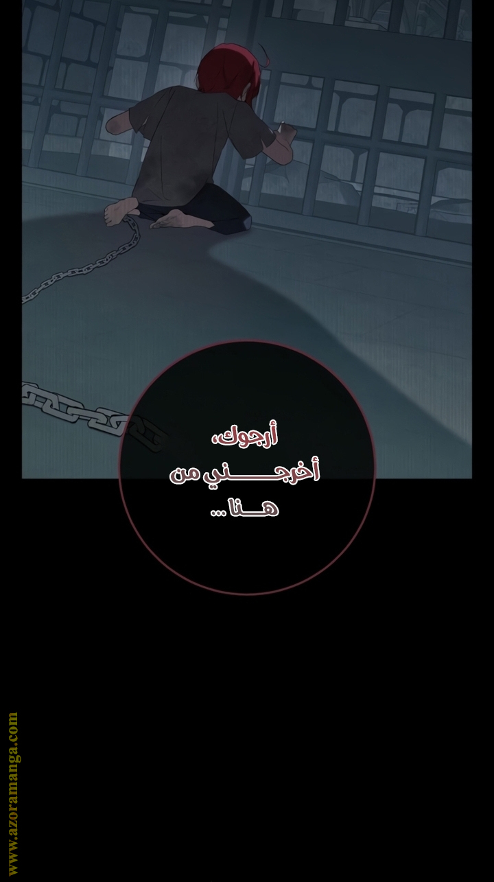 الصفحة 63