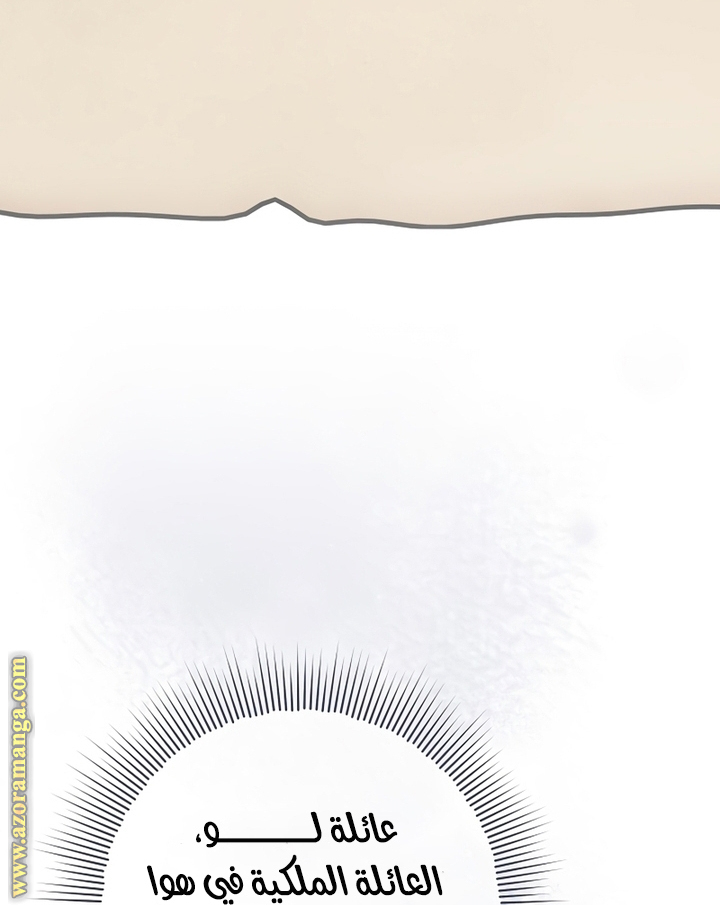 الصفحة 29