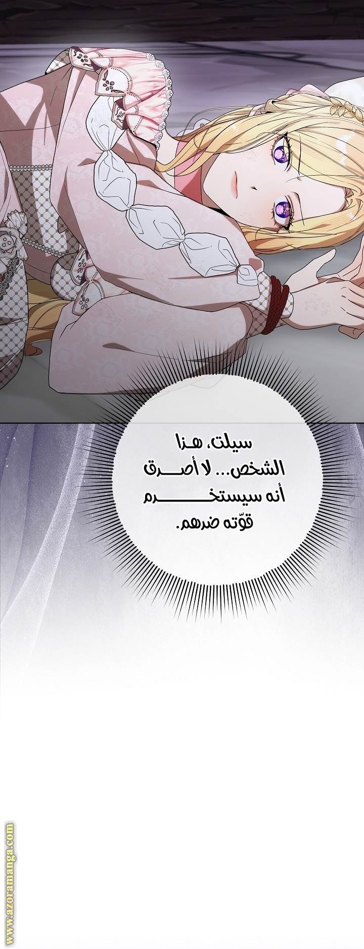 الصفحة 17