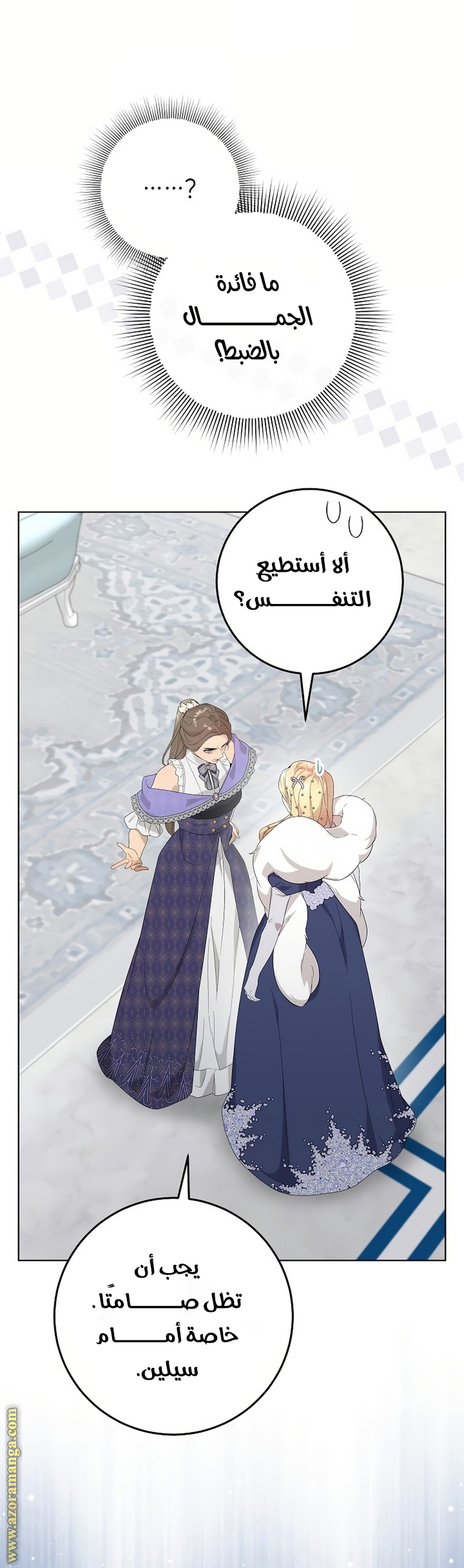 الصفحة 27