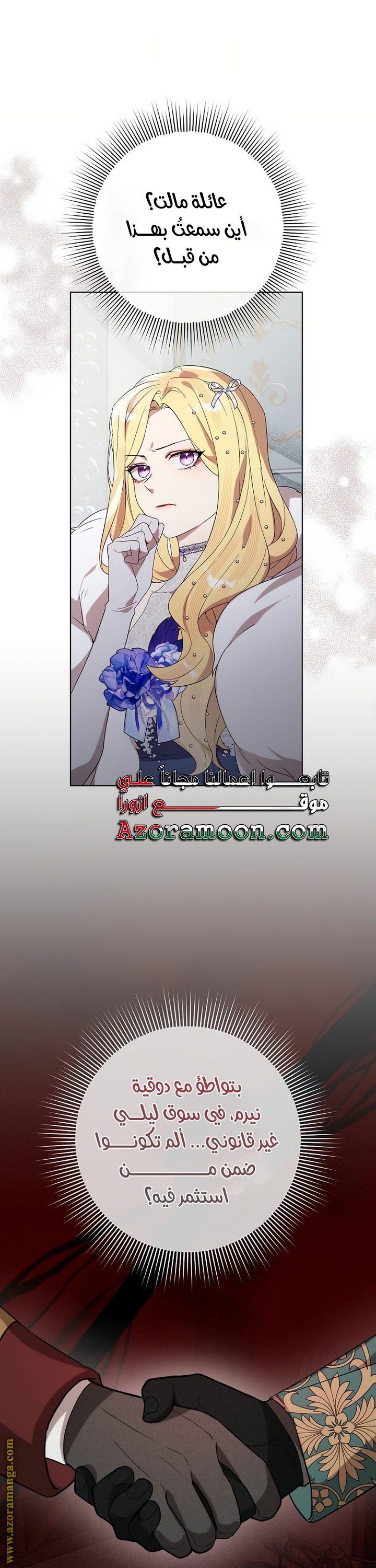 الصفحة 29