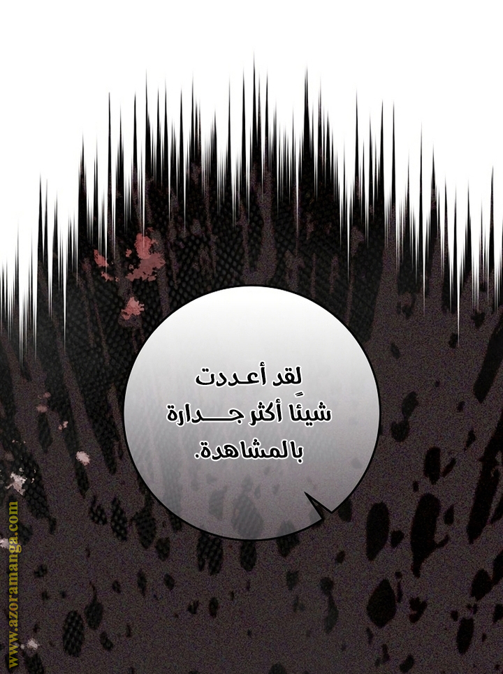الصفحة 46