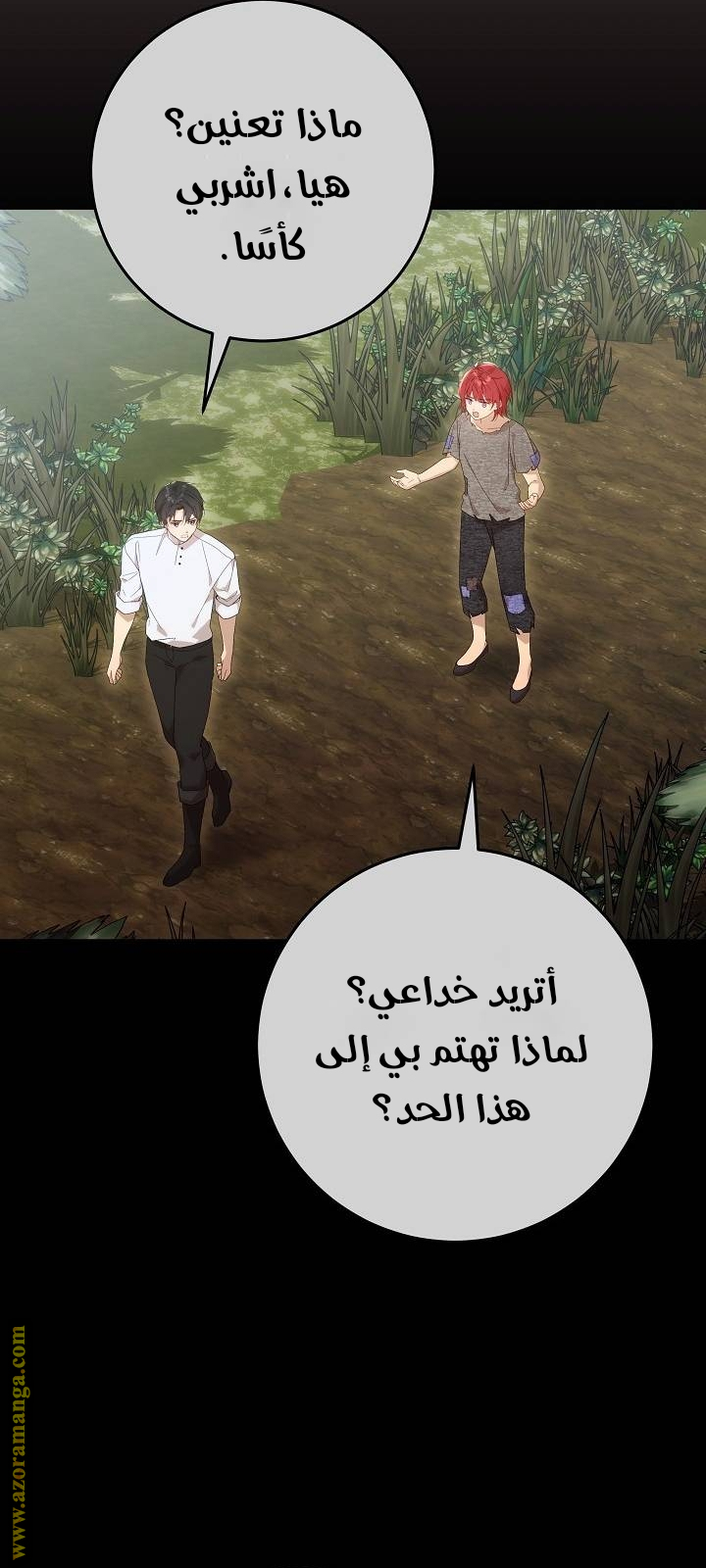 الصفحة 21