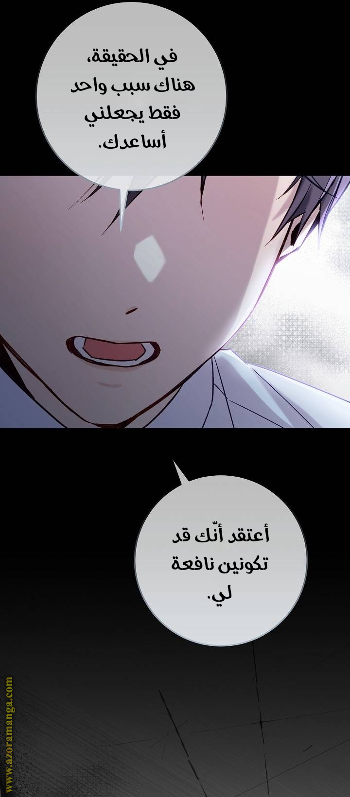 الصفحة 25