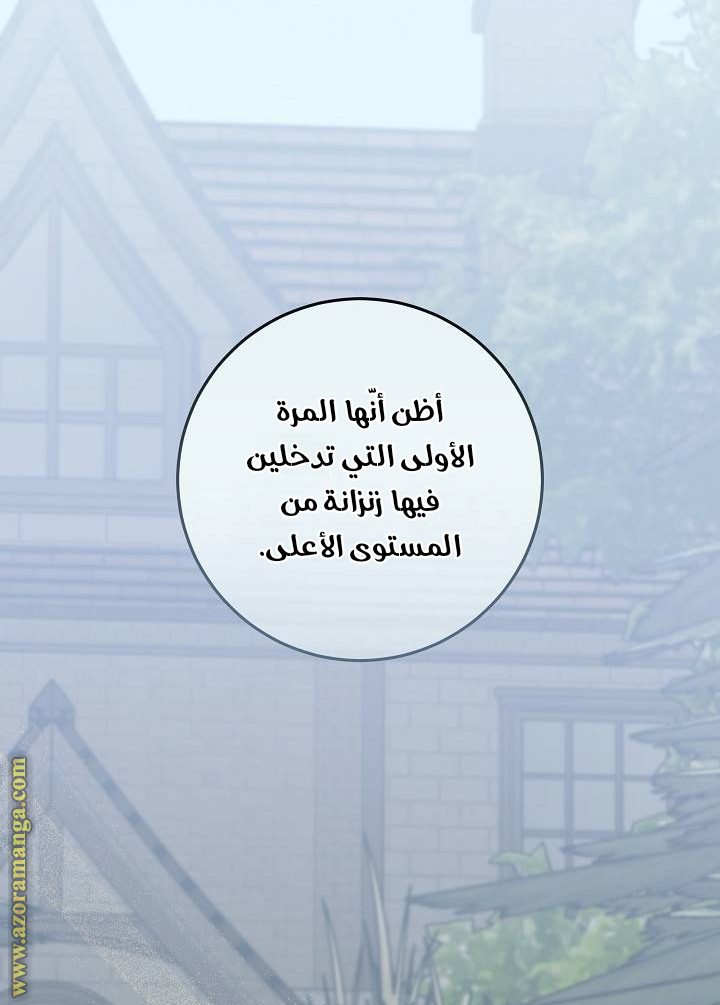 الصفحة 29