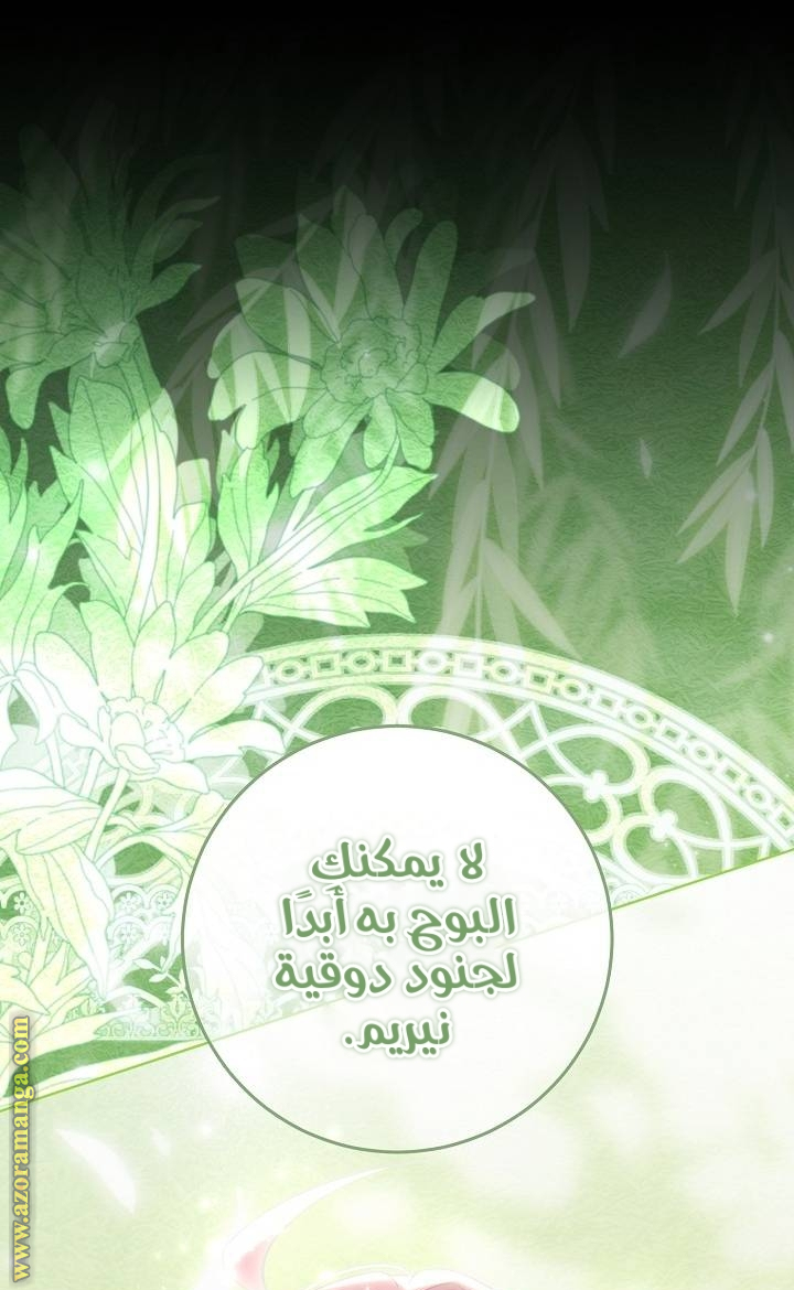 الصفحة 41