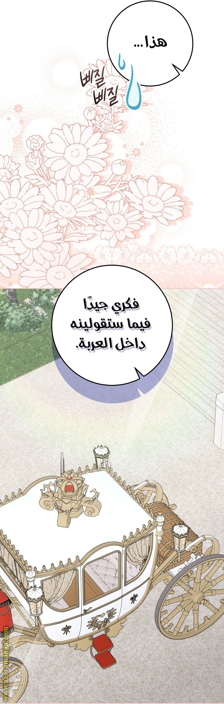 الصفحة 46