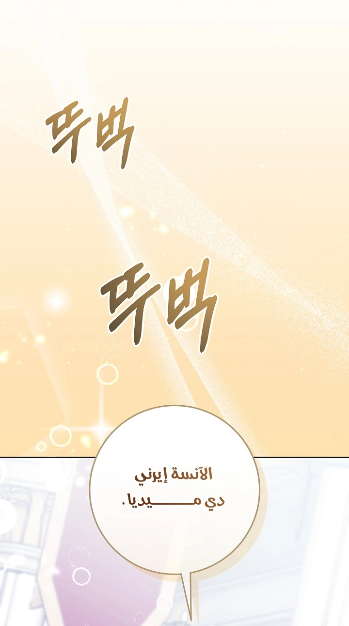 الصفحة 25