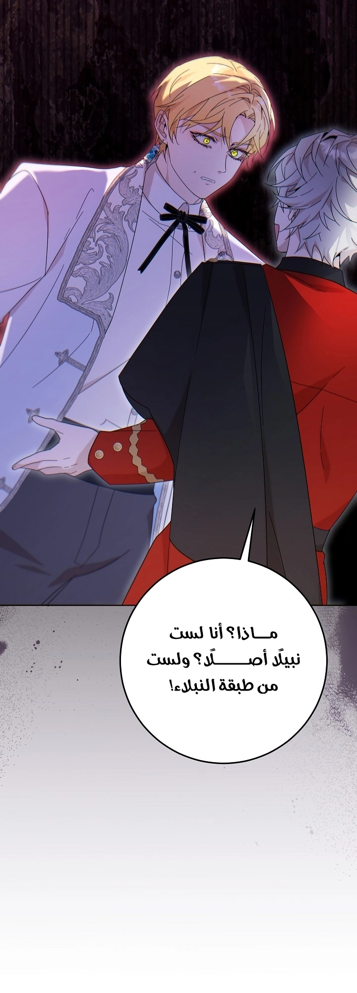 الصفحة 46