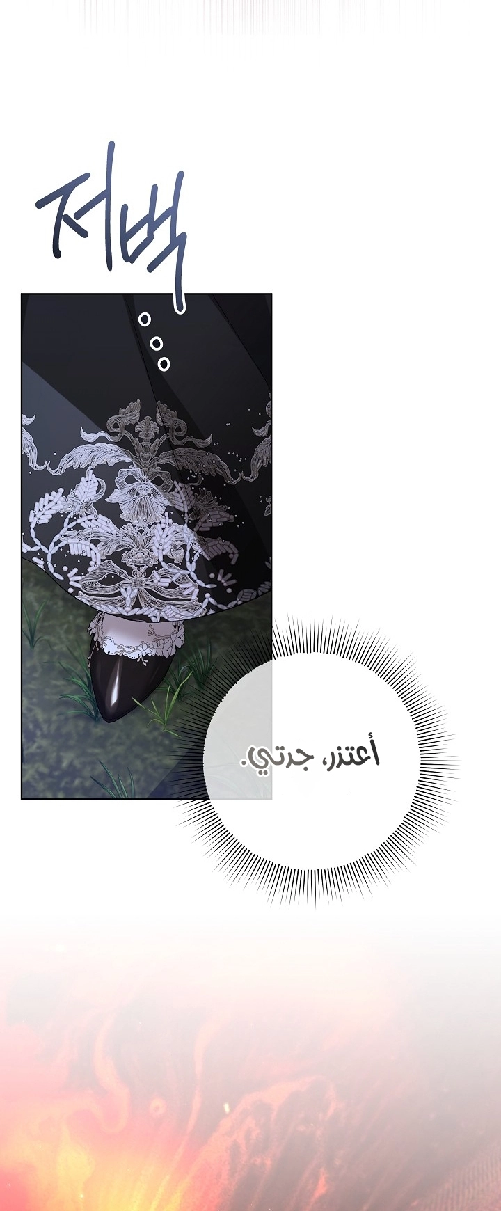 الصفحة 46