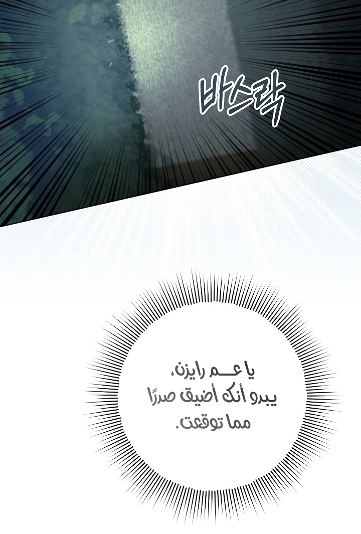 الصفحة 52