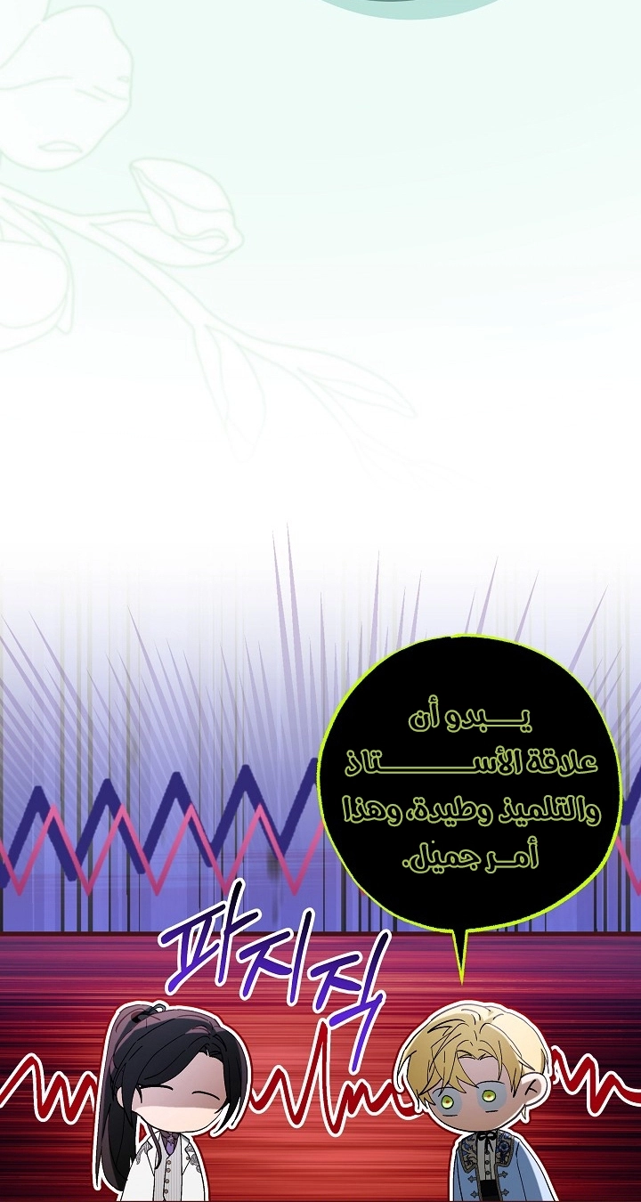 الصفحة 25