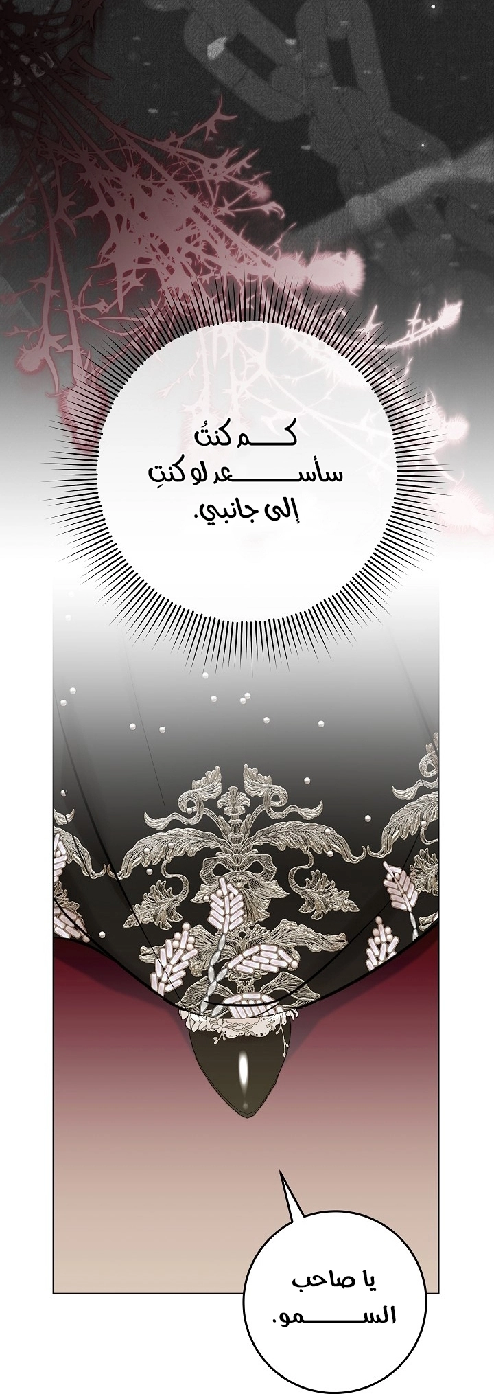 الصفحة 48