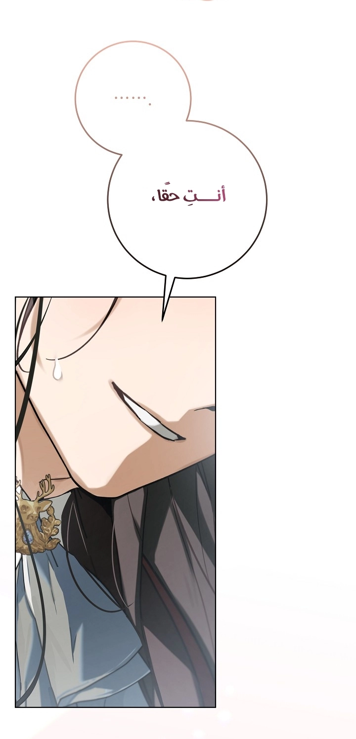 الصفحة 27