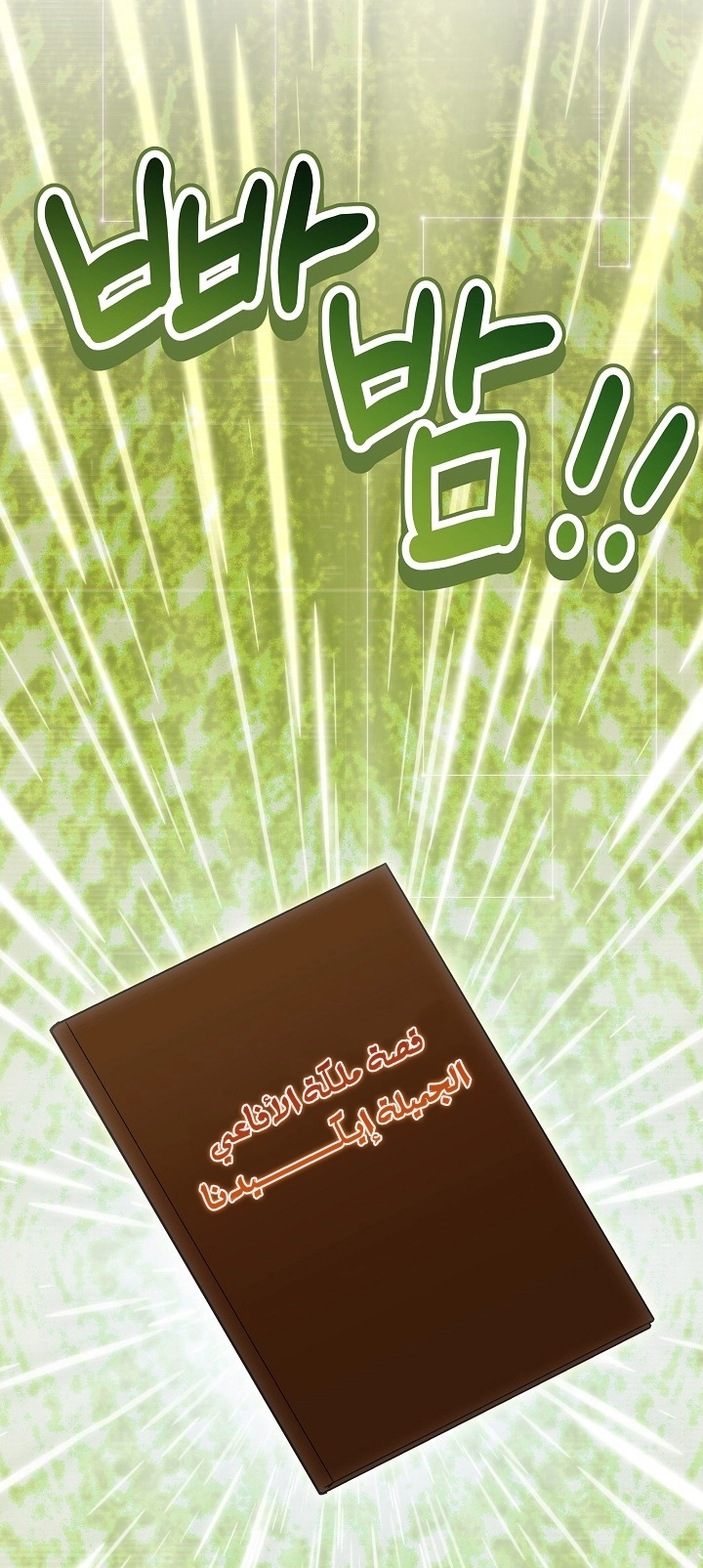 الصفحة 40