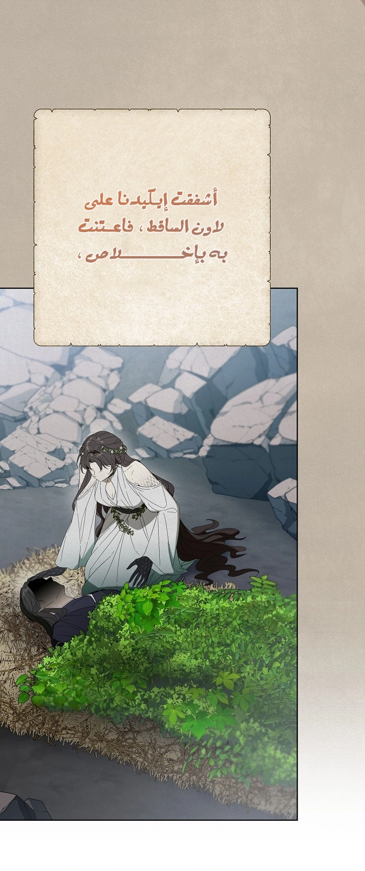 الصفحة 50