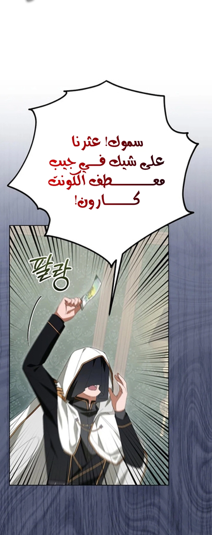 الصفحة 33