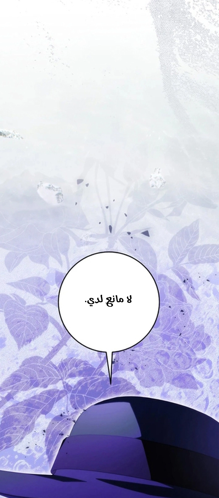 الصفحة 52