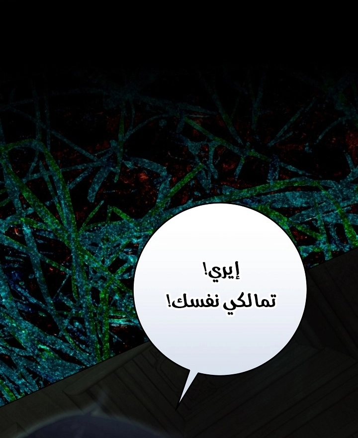 الصفحة 24