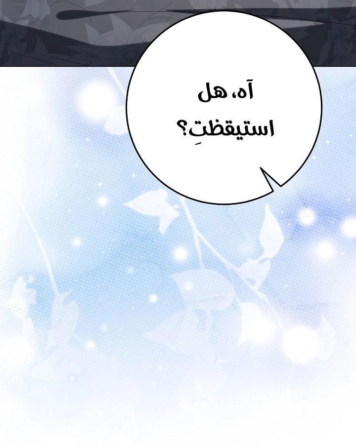 الصفحة 29