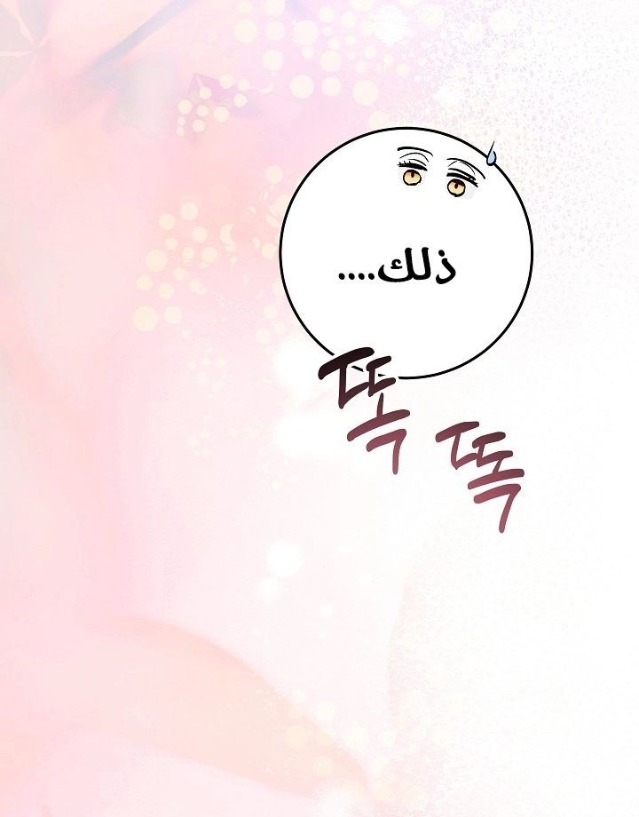الصفحة 37