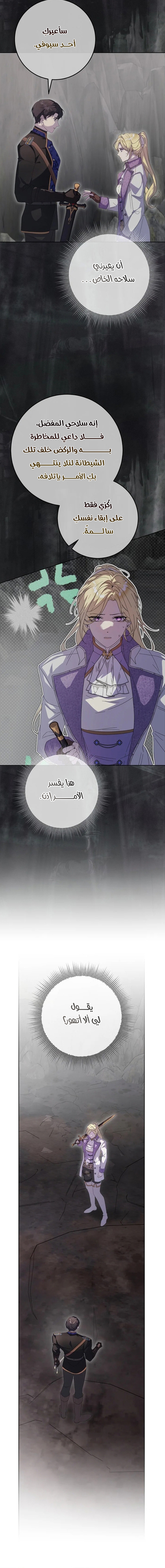 الصفحة 17