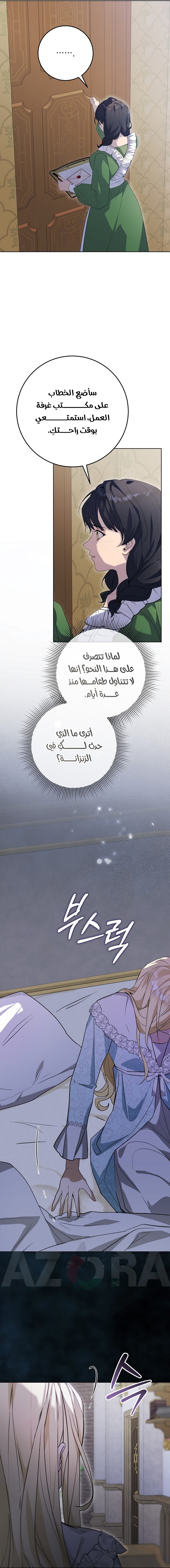الصفحة 20