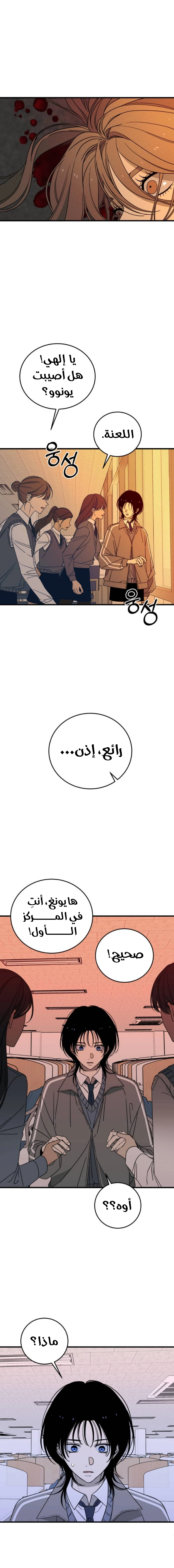 الصفحة 17