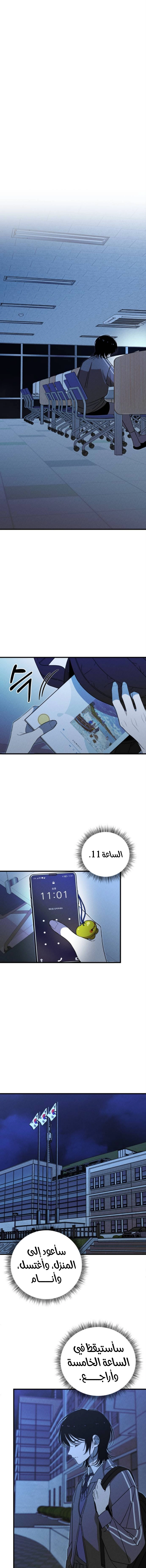 الصفحة 19