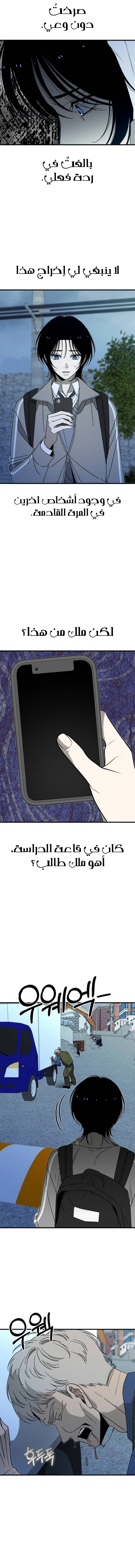 الصفحة 19