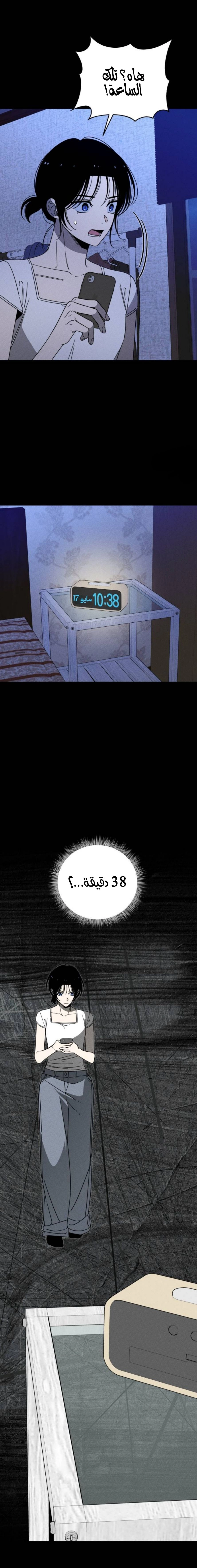 الصفحة 13