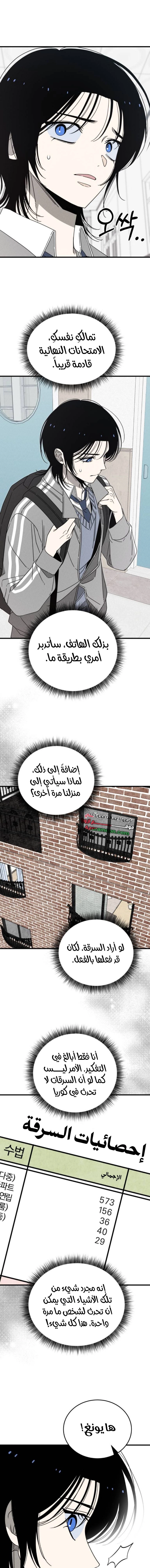 الصفحة 25