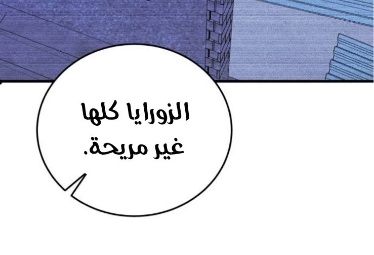 الصفحة 25