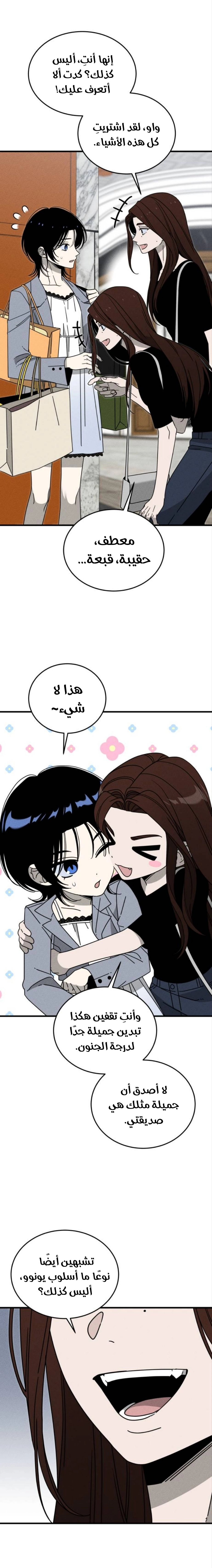 الصفحة 17