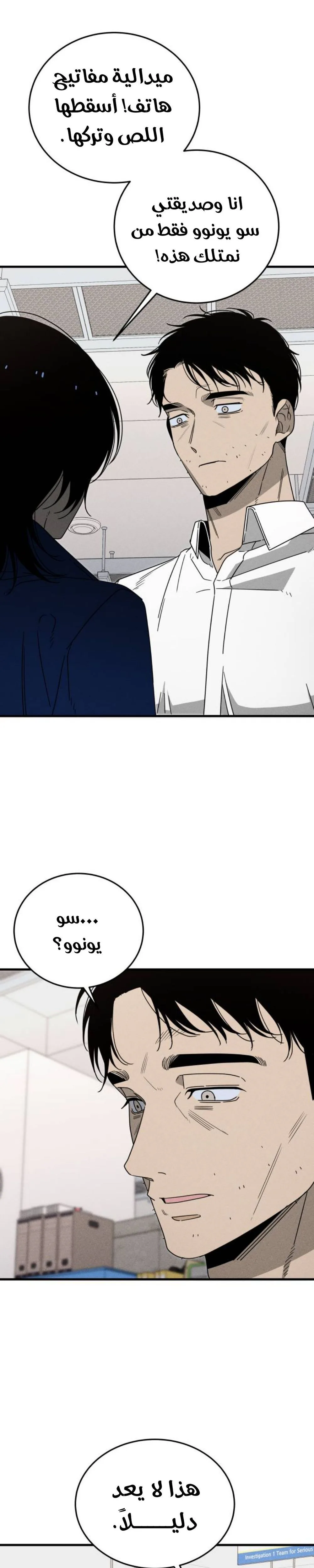 الصفحة 25