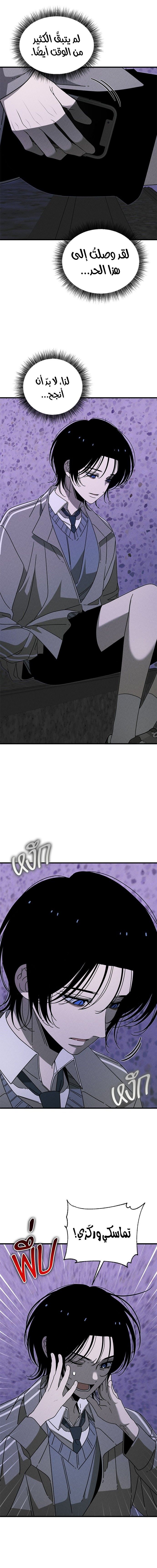 الصفحة 16